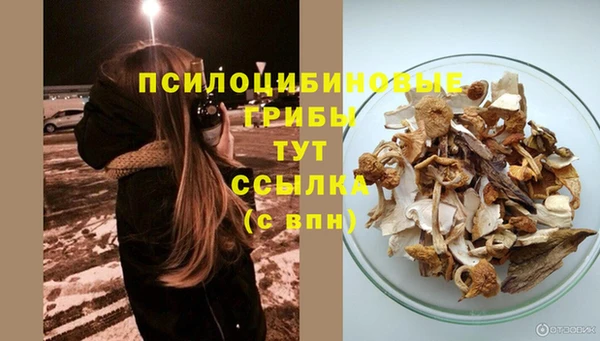 прущая мука Белоозёрский