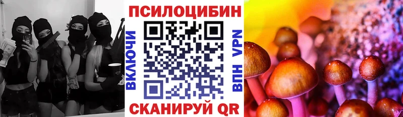 купить   Верхний Тагил  Галлюциногенные грибы мухоморы 