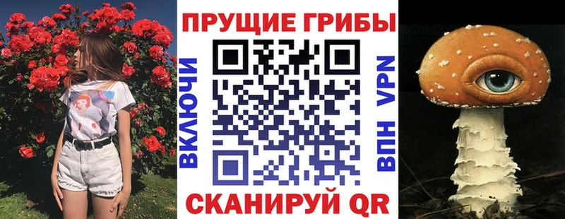 Псилоцибиновые грибы GOLDEN TEACHER Верхний Тагил